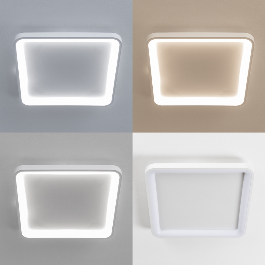 Brilagi - LED-dæmpbar loftlampe FALCON SLIM LED/50W/230V 3000-6500K 50x50 cm hvid + fjernbetjening