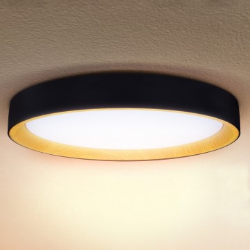 Brilagi - Dæmpbar LED-loftlampe LARIOS LED/72W/230V 3000-6500K sort, diameter 59 cm + fjernbetjening