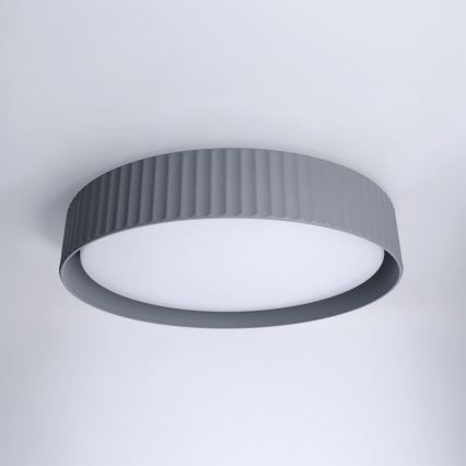 Brilagi - LED-dæmpbar loftlampe LUCIA LED/48W/230V 3000-6500K Ø 41 cm grå + fjernbetjening