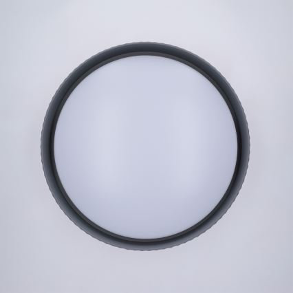 Brilagi - LED-dæmpbar loftlampe LUCIA LED/48W/230V 3000-6500K Ø 41 cm grå + fjernbetjening