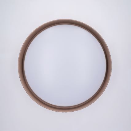 Brilagi - Dæmpbar LED-loftlampe LUCIA LED/48W/230V 3000–6500K Ø 41 cm taupe + fjernbetjening