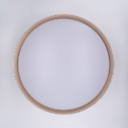 Brilagi - LED dæmpbar loftlampe LUCIA LED/60W/230V 3000-6500K Ø 59 cm beige + fjernbetjening