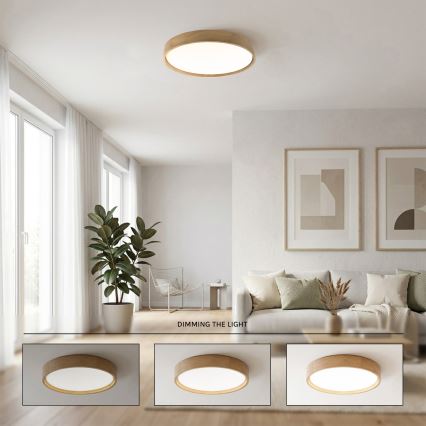 Brilagi - Dæmpbar LED-loftlampe MANAROLA SMART, 36 W, 230 V, 3000–6000 K, Wi-Fi (Tuya, Beacon), Ø 51 cm, eg, inkl. fjernbetjening