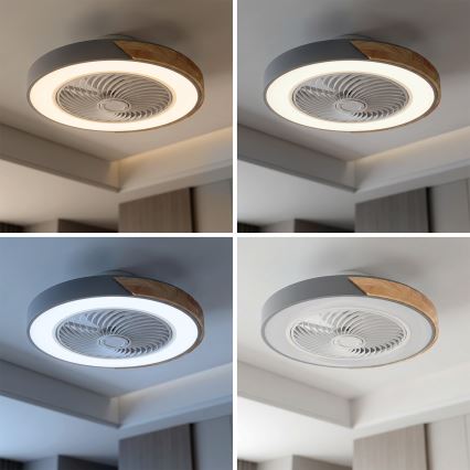 Brilagi - Dæmpbar LED-loftlampe med loftventilator LED/38W/230V 3000-6500K 3000-6500K Ø 50 cm grå/eg + fjernbetjening