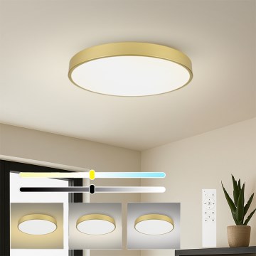 Brilagi - Dæmpbar LED-loftlampe POOL SMART LED/100W/230V 3000-6000K 80 cm guld Wi-Fi Tuya + fjernbetjening