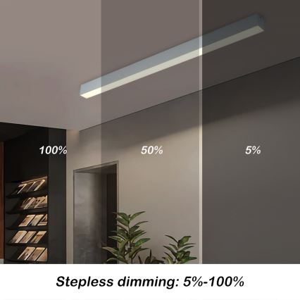 Brilagi - LED-dæmpbar loftlampe SLEEKLINE SMART LED/40W/230V 3000-6000K Wi-Fi Tuya sølv + fjernbetjening