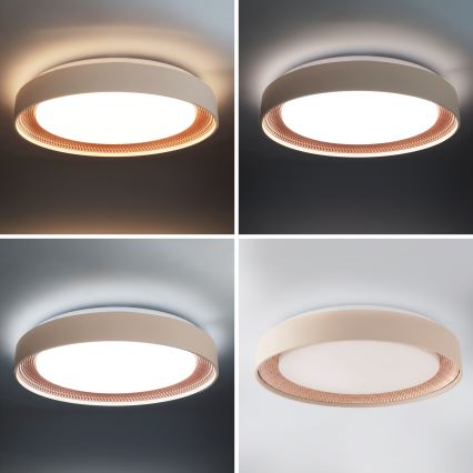 Brilagi - LED dæmpbar loftlampe WALDO LED/48W/230V 3000–6500K Ø 40 cm beige/guld + fjernbetjening