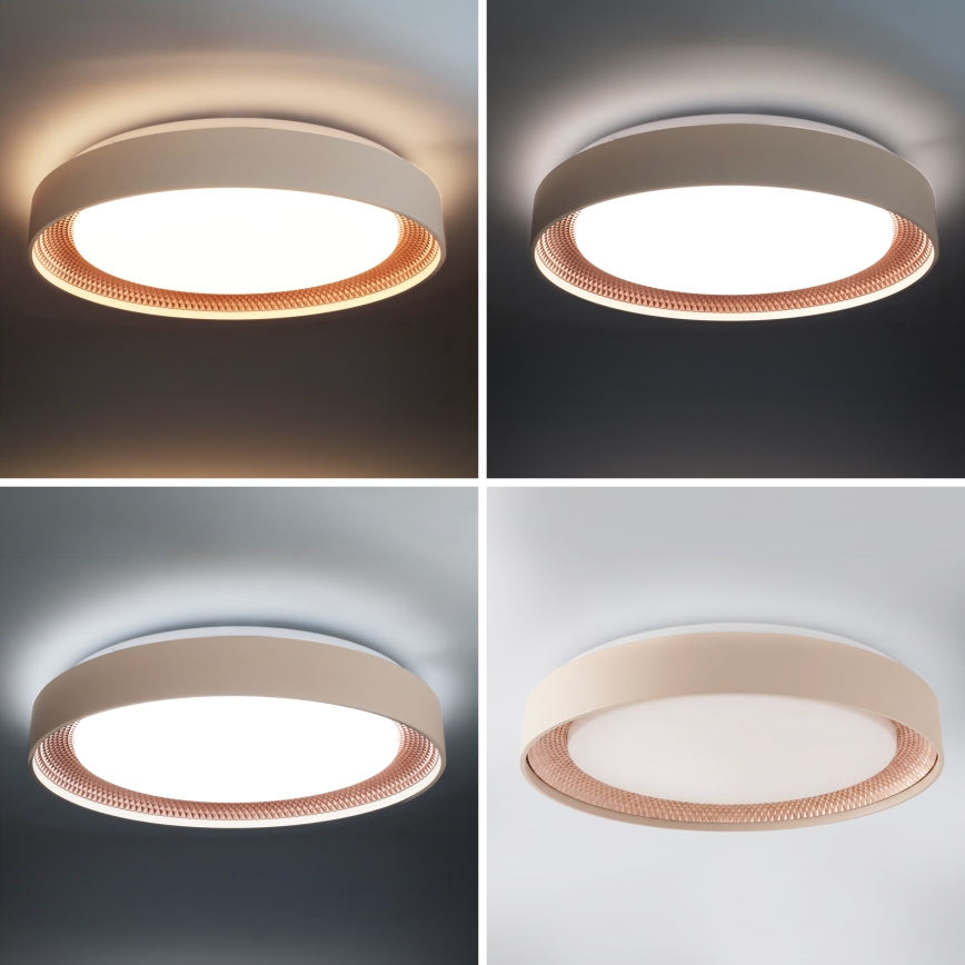 Brilagi - LED dæmpbar loftlampe WALDO LED/48W/230V 3000–6500K Ø 40 cm beige/guld + fjernbetjening