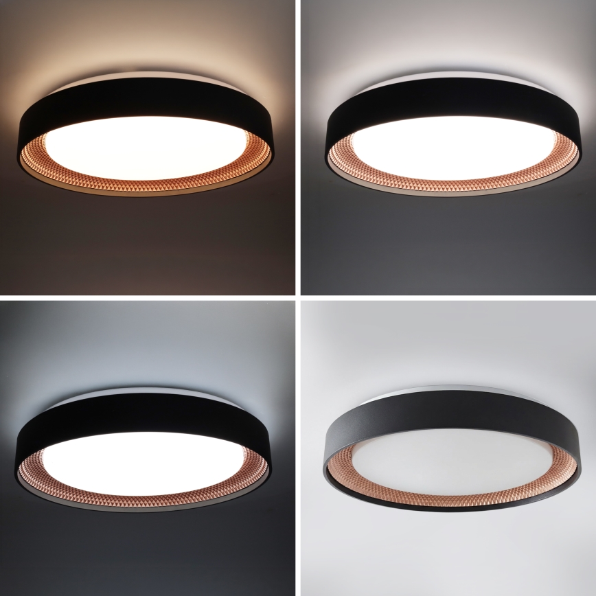 Brilagi - Dæmpbar LED-loftlampe WALDO LED/48W/230V 3000-6500K Ø 40 cm sort/guld + fjernbetjening