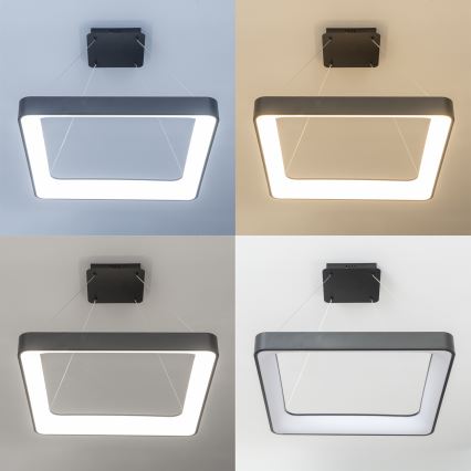 Brilagi - LED-dæmpbar pendel på wire FALCON II LED/125W/230V 3000-6500K 60x60 cm sort + fjernbetjening