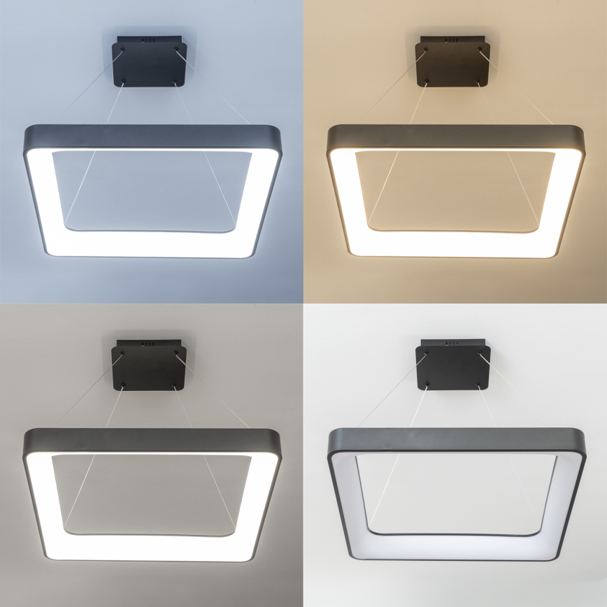 Brilagi - LED-dæmpbar pendel på wire FALCON II LED/125W/230V 3000-6500K 60x60 cm sort + fjernbetjening