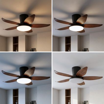 Brilagi - LED-dæmpbar loftventilator LED/32W/230V 3000-6500K diameter 95 cm sort/brun + fjernbetjening