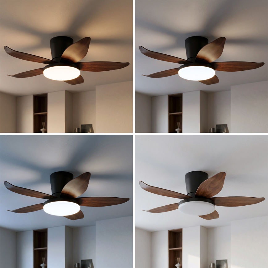 Brilagi - LED-dæmpbar loftventilator LED/32W/230V 3000-6500K diameter 95 cm sort/brun + fjernbetjening