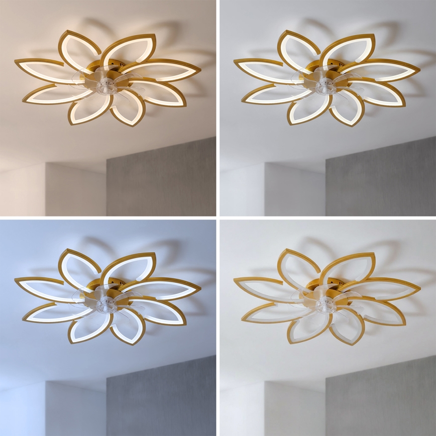 Brilagi - LED dæmpbar loftventilator LED/43W/230V 3000-6500K Ø 90 cm guldfarvet + fjernbetjening