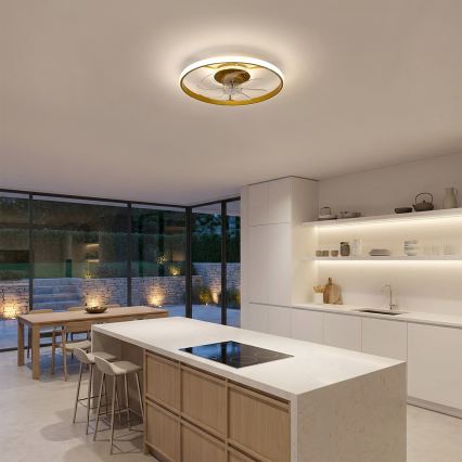Brilagi - LED dæmpbar loftventilator LED/66W/230V 55 cm hvid/guld + fjernbetjening
