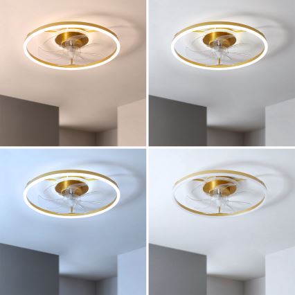 Brilagi - LED-dæmpbar loftventilator LED/66W/230V 55 cm hvid/guld + fjernbetjening