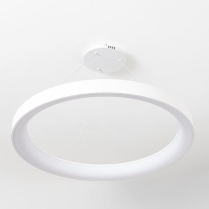 Brilagi - LED dæmpbar pendel på wire FALCON II LED/108W/230V 3000-6500K Ø 80 cm hvid + fjernbetjening