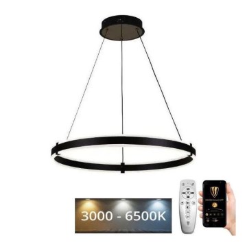 Brilagi - Dæmpbar LED-pendel CIRCLE LED/85W/230V 3000–6500K Ø 60 cm sort + fjernbetjening