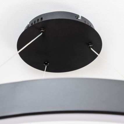 Brilagi - Dæmpbar LED-pendel på kabel FALCON II LED/108W/230V 3000-6500K Ø 80 cm sort + fjernbetjening