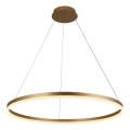 Brilagi - Dæmpbar LED-pendel med wire CIRCLE LED/55W/230V 3000-6500K Ø 80 cm guld + fjernbetjening