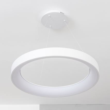 BRILAGI - LED dæmpbar pendel med wireophæng FALCON II LED/99W/230V 3000-6500K Ø 60 cm hvid + fjernbetjening