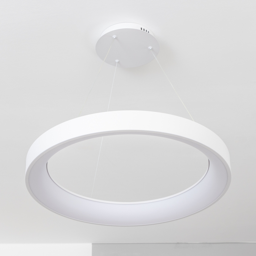 BRILAGI - LED dæmpbar pendel med wireophæng FALCON II LED/99W/230V 3000-6500K Ø 60 cm hvid + fjernbetjening