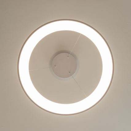 BRILAGI - LED dæmpbar pendel med wireophæng FALCON II LED/99W/230V 3000-6500K Ø 60 cm hvid + fjernbetjening