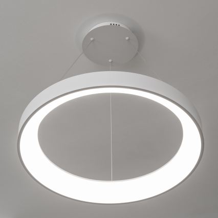 BRILAGI - LED dæmpbar pendel med wireophæng FALCON II LED/99W/230V 3000-6500K Ø 60 cm hvid + fjernbetjening
