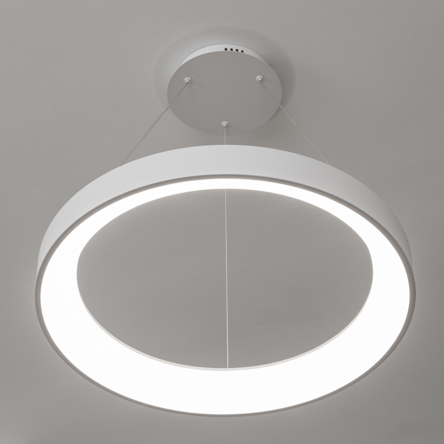 BRILAGI - LED dæmpbar pendel med wireophæng FALCON II LED/99W/230V 3000-6500K Ø 60 cm hvid + fjernbetjening