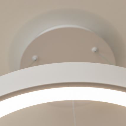 BRILAGI - LED dæmpbar pendel med wireophæng FALCON II LED/99W/230V 3000-6500K Ø 60 cm hvid + fjernbetjening