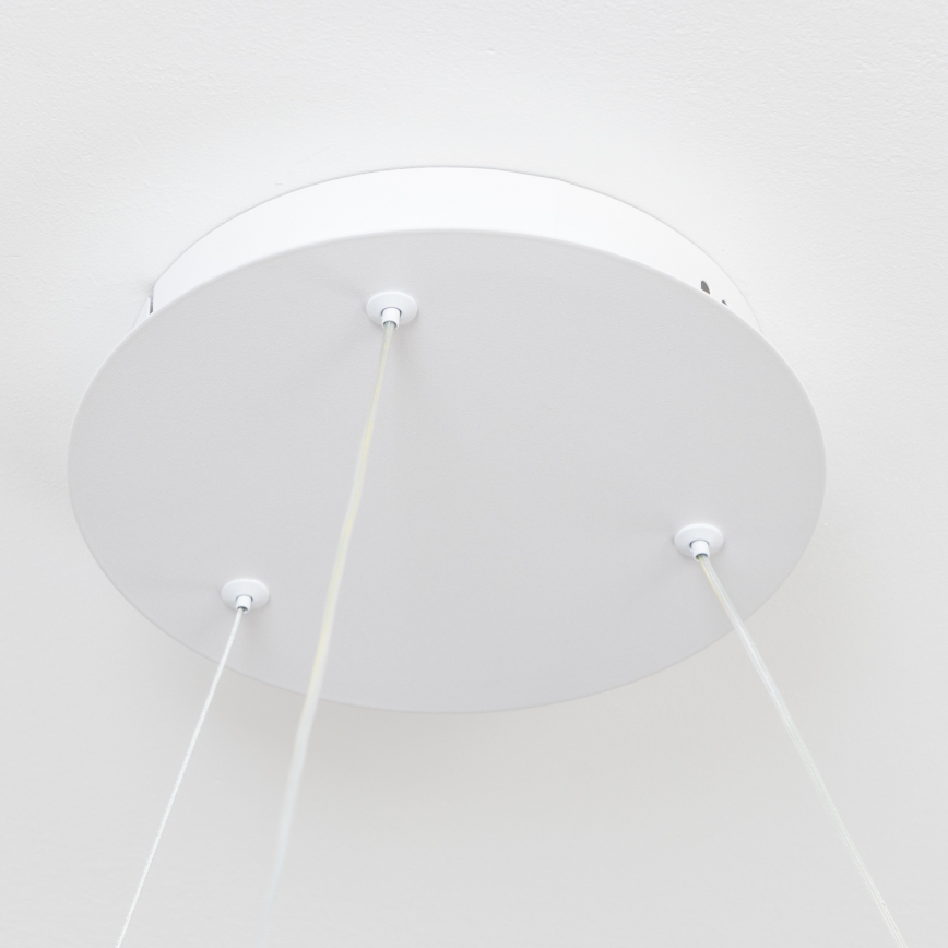 BRILAGI - LED dæmpbar pendel med wireophæng FALCON II LED/99W/230V 3000-6500K Ø 60 cm hvid + fjernbetjening
