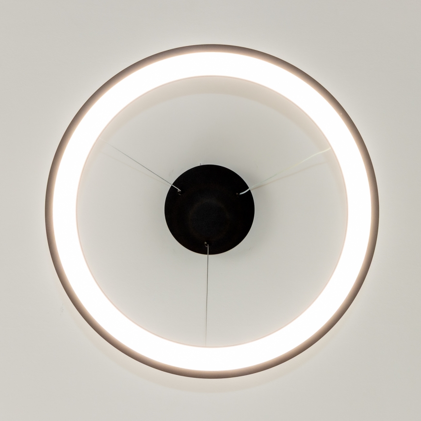 Brilagi - dæmpbar LED-pendel på wireophæng FALCON SLIM LED/42W/230V 3000-6500K Ø 50 cm sort + fjernbetjening