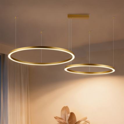 Brilagi - Dæmpbar LED-pendel på wire PORTOFINO LED/98W/230V 3000-6000K guld + fjernbetjening