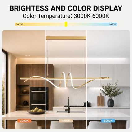 BRILAGI - LED-dæmpbar pendel på wire SIGNATURE LED/50W/230V 3000-6000K 120 cm guld + fjernbetjening