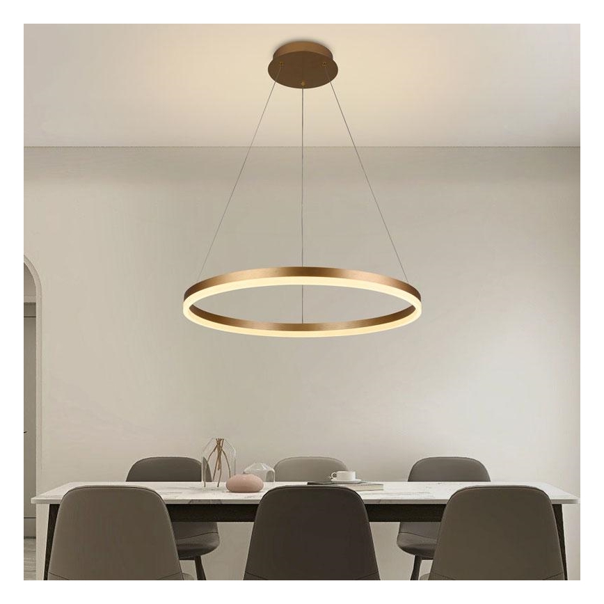 Brilagi - LED dæmpbar pendel med wire CIRCLE LED/42W/230V 3000-6500K Ø 60 cm + fjernbetjening