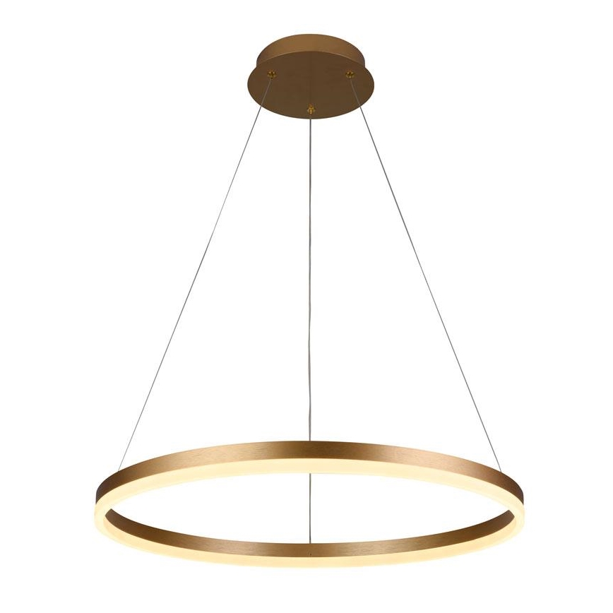 Brilagi - LED dæmpbar pendel med wire CIRCLE LED/42W/230V 3000-6500K Ø 60 cm + fjernbetjening