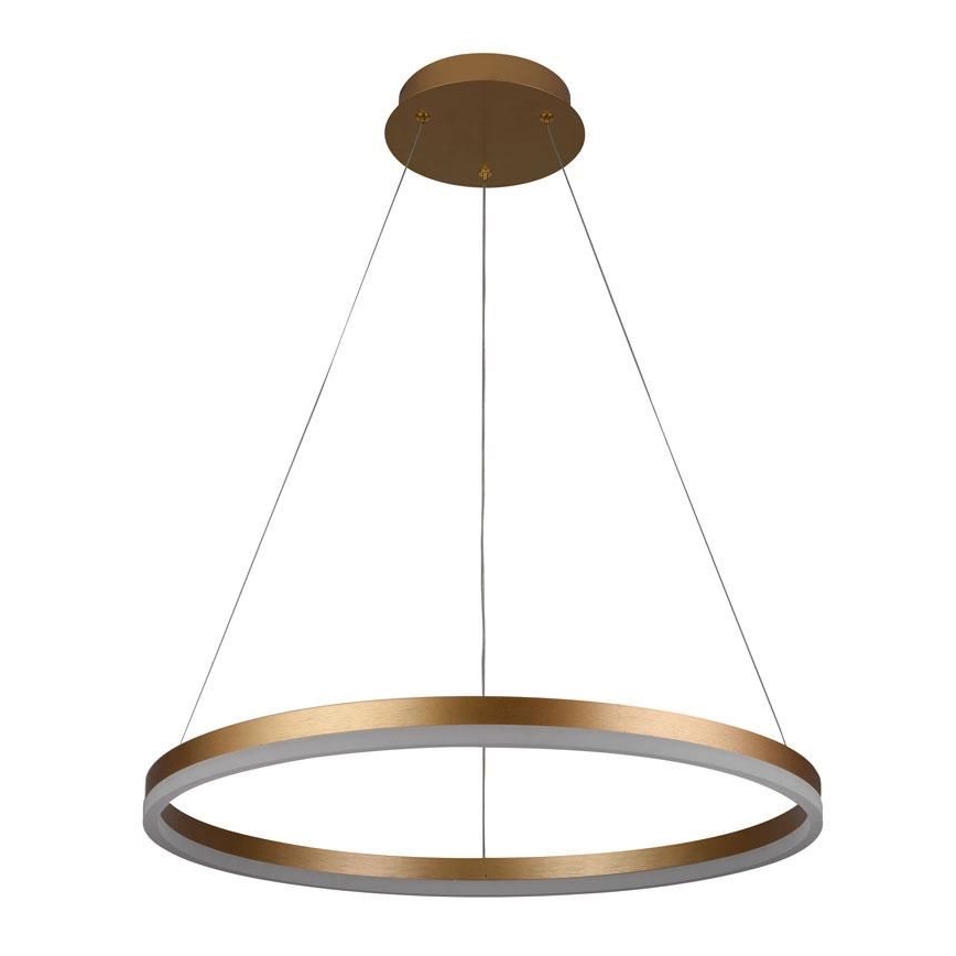 Brilagi - LED dæmpbar pendel med wire CIRCLE LED/42W/230V 3000-6500K Ø 60 cm + fjernbetjening