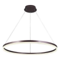 Brilagi - Dæmpbar LED-pendel på wire CIRCLE LED/55W/230V 3000-6500K Ø 80 cm brun + fjernbetjening