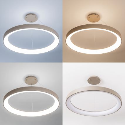 BRILAGI - LED-dæmpbar pendel på wire FALCON II LED/108W/230V 3000-6500K Ø 80 cm beige + fjernbetjening