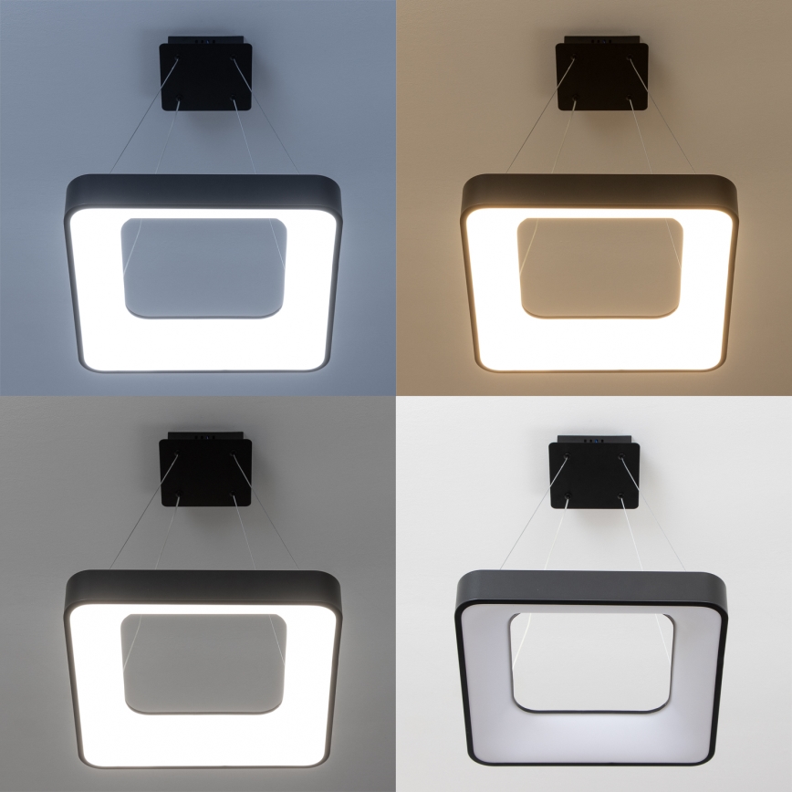 Brilagi - LED dæmpbar pendel med wireophæng FALCON II LED/80W/230V 3000-6500K 40x40 cm sort + fjernbetjening