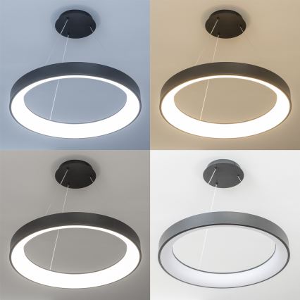 Brilagi - LED-dæmpbar pendel på wire FALCON II LED/99W/230V 3000-6500K Ø 60 cm sort + fjernbetjening