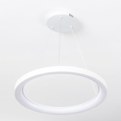 Brilagi - dæmpbar LED-pendel med wireophæng FALCON SLIM LED/42W/230V 3000-6500K Ø 50 cm hvid + fjernbetjening