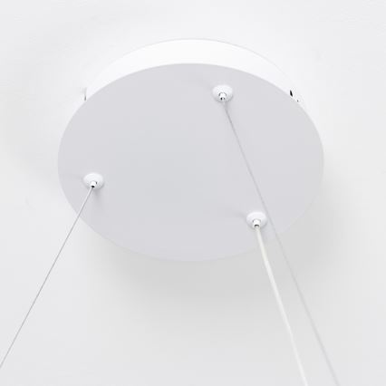 Brilagi - dæmpbar LED-pendel med wireophæng FALCON SLIM LED/42W/230V 3000-6500K Ø 50 cm hvid + fjernbetjening