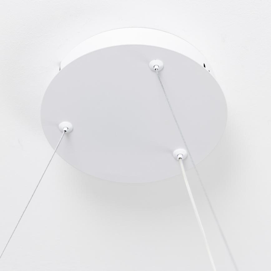 Brilagi - dæmpbar LED-pendel med wireophæng FALCON SLIM LED/42W/230V 3000-6500K Ø 50 cm hvid + fjernbetjening