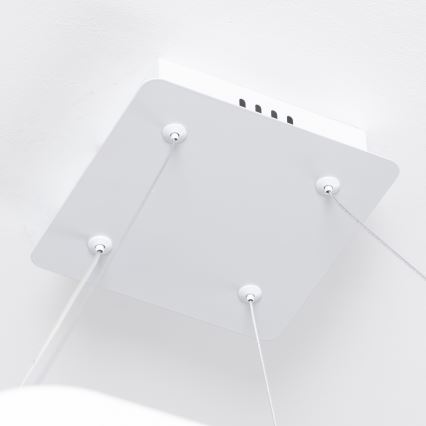 Brilagi - LED dæmpbar pendel på wire FALCON SLIM LED/50W/230V 3000-6500K 50x50 cm hvid + fjernbetjening