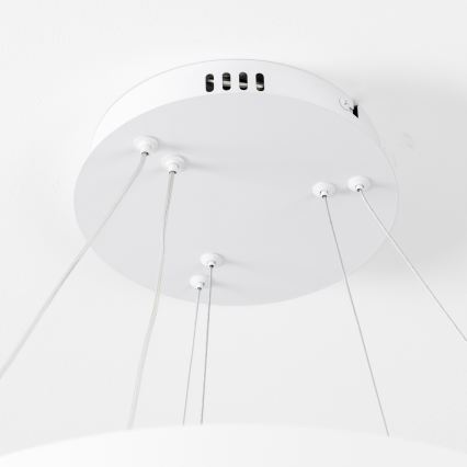 Brilagi - Dæmpbar LED-pendel med wireophæng FALCON SLIM LED/68W/230V 3000-6500K Ø 50 cm hvid + fjernbetjening