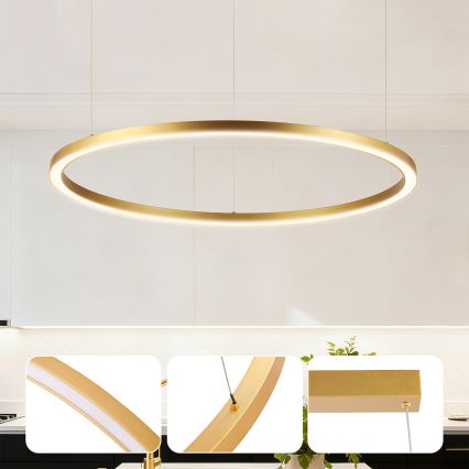 Brilagi - Dæmpbar LED-pendel i wireophæng PORTOFINO LED/60W/230V 3000-6000K Ø 80 cm guld + fjernbetjening