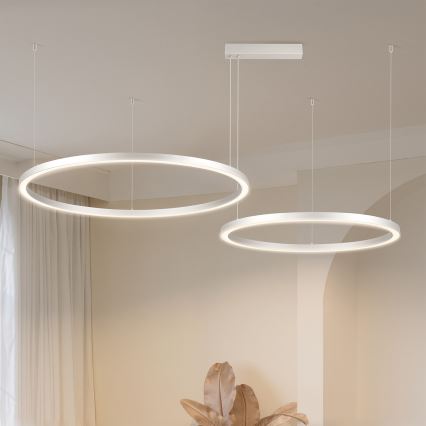 Brilagi - LED dæmpbar pendel på wire PORTOFINO LED/98W/230V 3000-6000K sølv + fjernbetjening