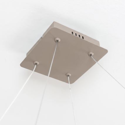 BRILAGI - LED dæmpbar pendel på wire FALCON SLIM LED/50W/230V 3000-6500K 50x50 cm beige + fjernbetjening