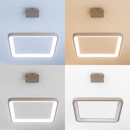 BRILAGI - LED dæmpbar pendel på wire FALCON SLIM LED/50W/230V 3000-6500K 50x50 cm beige + fjernbetjening